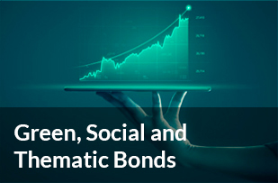 Green Social and Thematic Bonds
