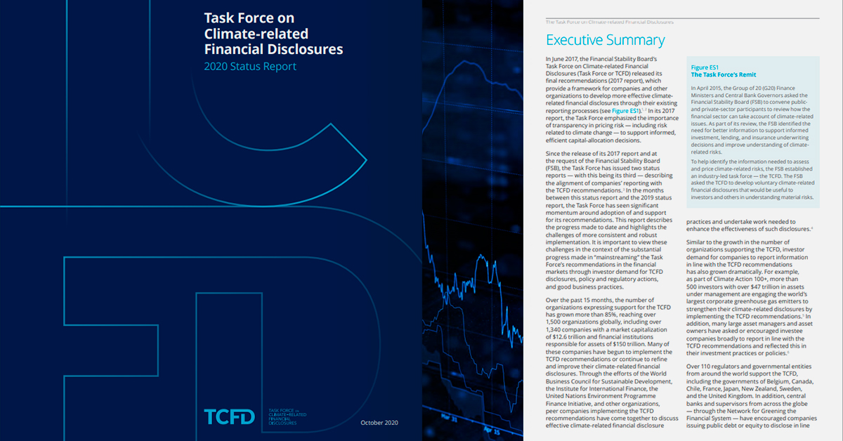 TCFD Relatório de Progresso de 2020