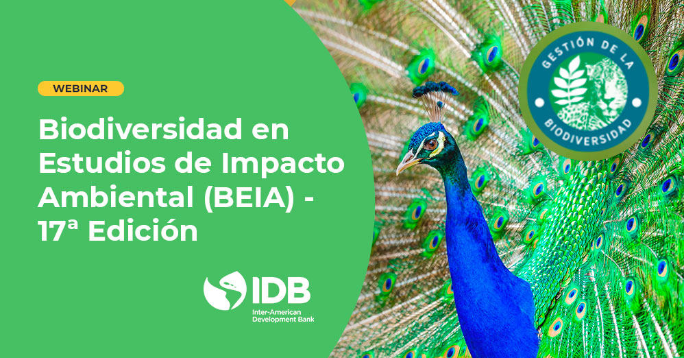Biodiversidad en Estudios de Impacto Ambiental (BEIA) – 17ª Edición