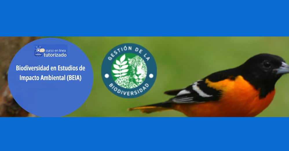Biodiversidad en Estudios de Impacto Ambiental (BEIA)