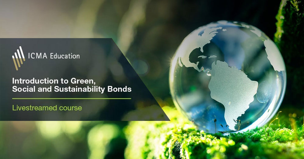 Introduction to Green, Social & Sustainability Bonds (GSS)